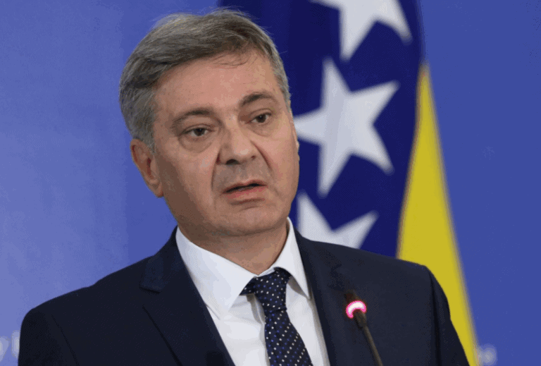 Denis Zvizdic