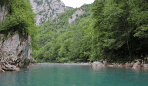 Nezapamćena tragedija kod Mojkovca: Braća se utopila pokušavajući spasiti jedno drugo