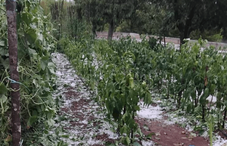 Nevrijeme poharalo Gornje Rasno