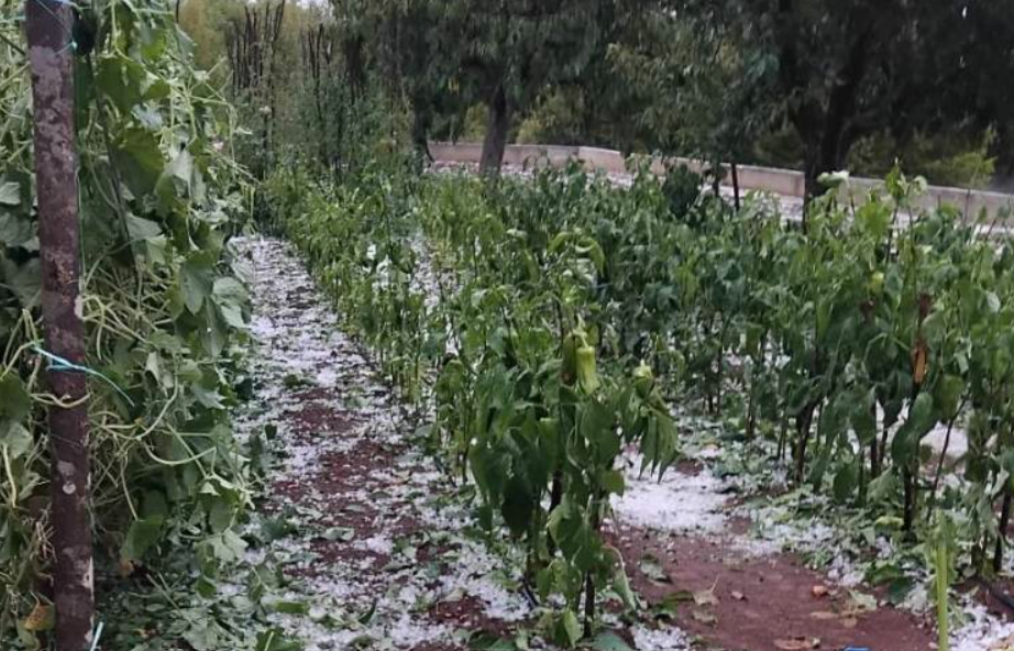 Nevrijeme poharalo Gornje Rasno